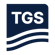 HoustonGiganteIMG-v03.jpg