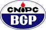 BGP LOGO big