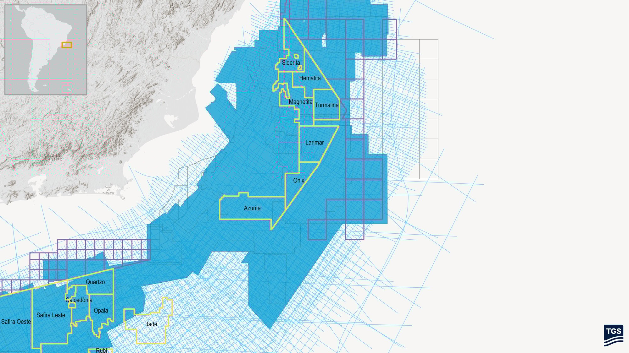 TGS OPP4th Brazil Campos Coverage 
