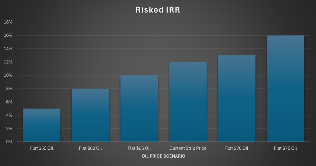 IRR BAR GRAPH