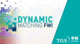 DM FWI Thumbnail