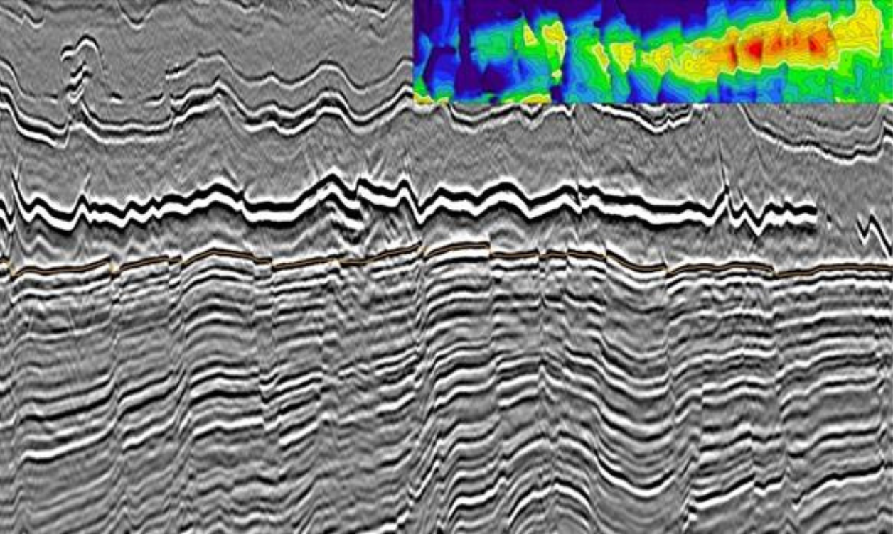 TGS Seismic Data Example - AME - Lebanon - Tamar sand play