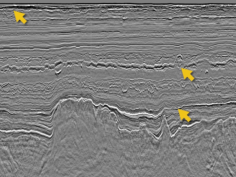 GeoStreamer X for Accurate and Efficient Lead Characterization | TGS