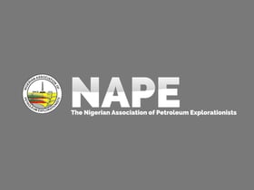 NAPE Lagos 2019