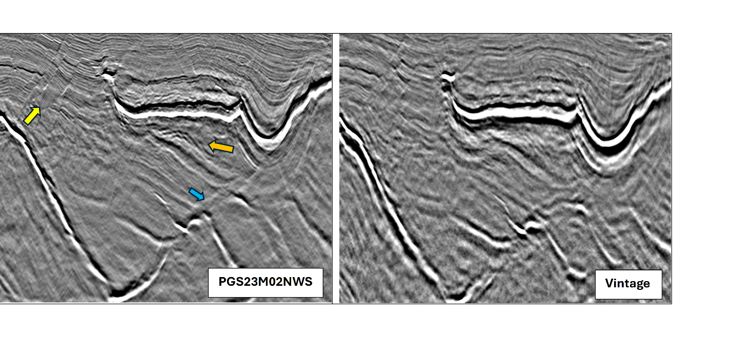 A close-up of a grey and black imageAI-generated content may be incorrect., Picture