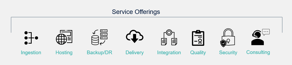 Data Verse - Service Offerings - Digital Management as a Service - TGS