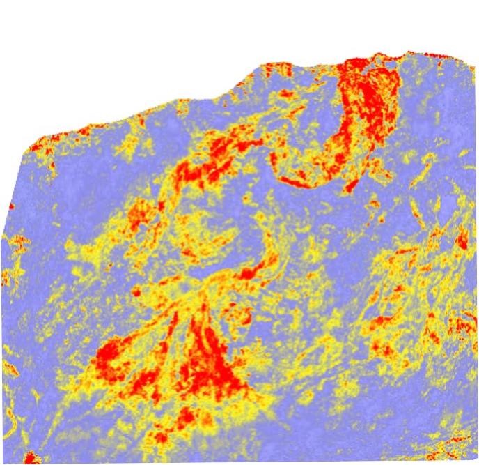 Liberia Seismic 2