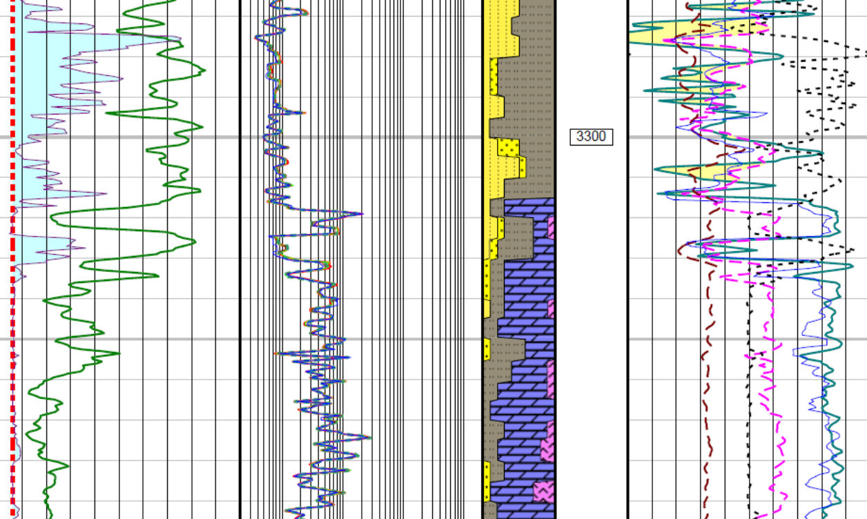 TGS_Well Data_Well Log