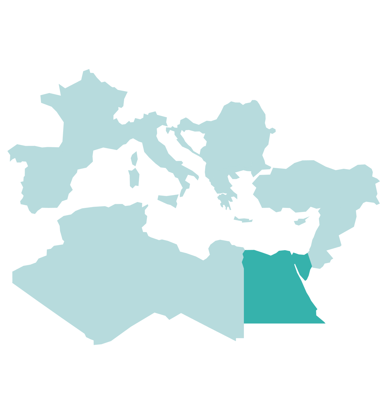 tgs-seismic-Egypt-Onshore